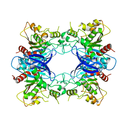 BU of 1pv1 by Molmil