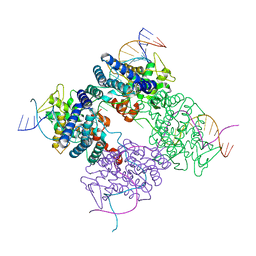 BU of 1pvq by Molmil