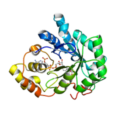 BU of 1pwm by Molmil