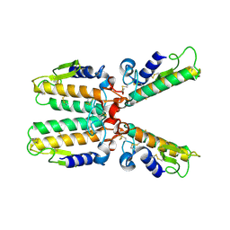 BU of 1pwo by Molmil