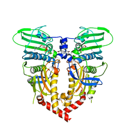 AU of 1q1d by Molmil