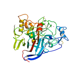 BU of 1q2b by Molmil