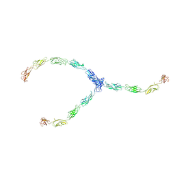 BU of 1q5b by Molmil