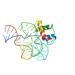 BU of 1qa6 by Molmil