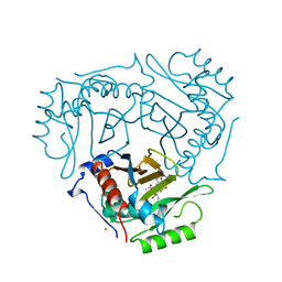 BU of 1qca by Molmil