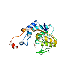 AU of 1qcc by Molmil