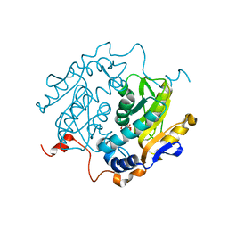 BU of 1qcc by Molmil