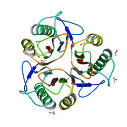 BU of 1qd9 by Molmil