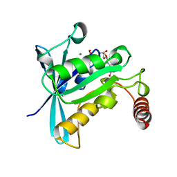 BU of 1qg2 by Molmil