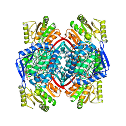 BU of 1qi1 by Molmil