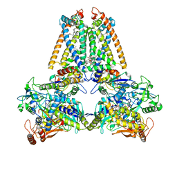 AU of 1qla by Molmil