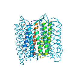 BU of 1qm8 by Molmil