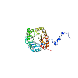 AU of 1qmk by Molmil