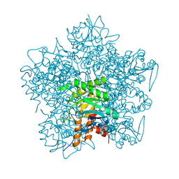 BU of 1qml by Molmil