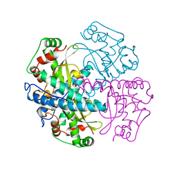 BU of 1qnm by Molmil