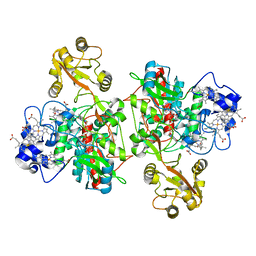 BU of 1qo8 by Molmil