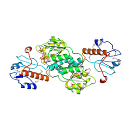 BU of 1qp8 by Molmil