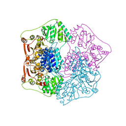 BU of 1qpb by Molmil