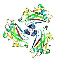 BU of 1qsc by Molmil