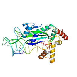 BU of 1qx0 by Molmil