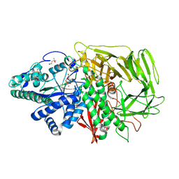 BU of 1qx1 by Molmil