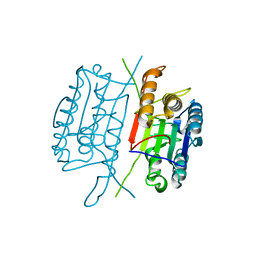 BU of 1qx3 by Molmil