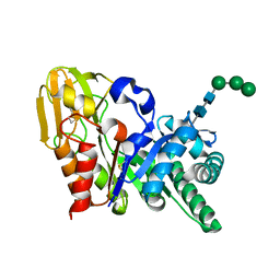 AU of 1r2v by Molmil