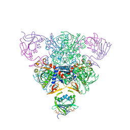 BU of 1rac by Molmil