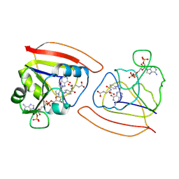 BU of 1rb2 by Molmil