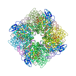 BU of 1rbo by Molmil