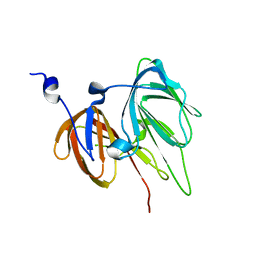 BU of 1rc6 by Molmil