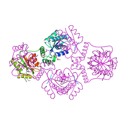 BU of 1rc8 by Molmil