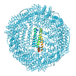 BU of 1rcc by Molmil