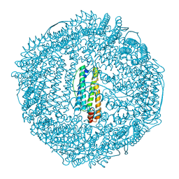 BU of 1rcd by Molmil