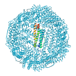 BU of 1rci by Molmil