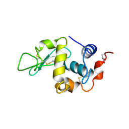 BU of 1rcm by Molmil