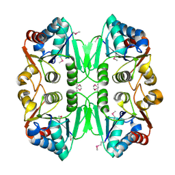 BU of 1rcu by Molmil