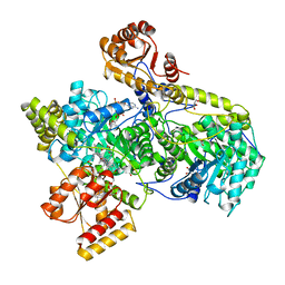 BU of 1req by Molmil