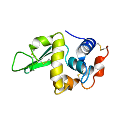 BU of 1rfp by Molmil