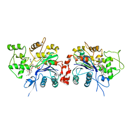 BU of 1rfq by Molmil