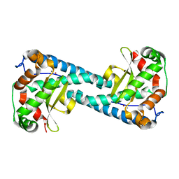 AU of 1rfw by Molmil