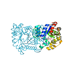 BU of 1rhc by Molmil