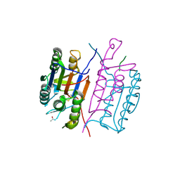 BU of 1rhk by Molmil