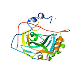 BU of 1rj5 by Molmil