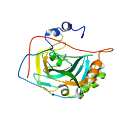 BU of 1rj6 by Molmil