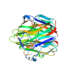 BU of 1rj8 by Molmil