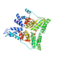 BU of 1rj9 by Molmil