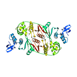 BU of 1rlv by Molmil