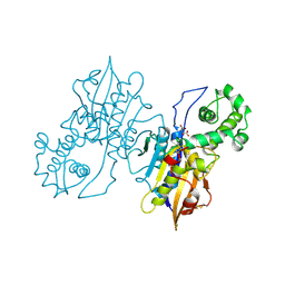 BU of 1rpa by Molmil