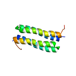 BU of 1rpr by Molmil